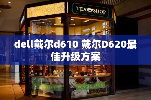 dell戴尔d610 戴尔D620最佳升级方案-第1张图片-星选测评