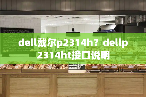 dell戴尔p2314h？dellp2314ht接口说明