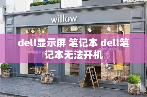 dell显示屏 笔记本 dell笔记本无法开机-第1张图片-星选测评