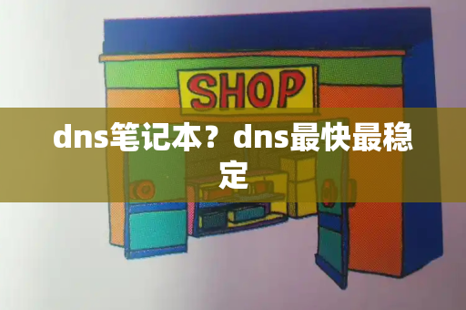 dns笔记本？dns最快最稳定-第1张图片-星选测评