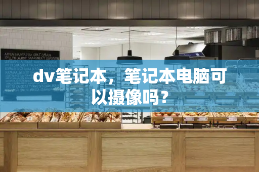 dv笔记本，笔记本电脑可以摄像吗？-第1张图片-星选测评