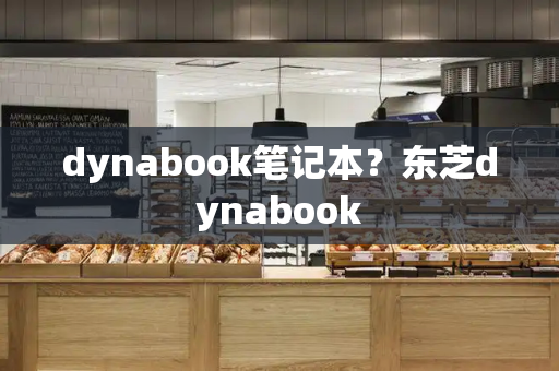 dynabook笔记本？东芝dynabook