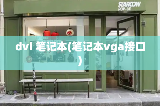 dvi 笔记本(笔记本vga接口)