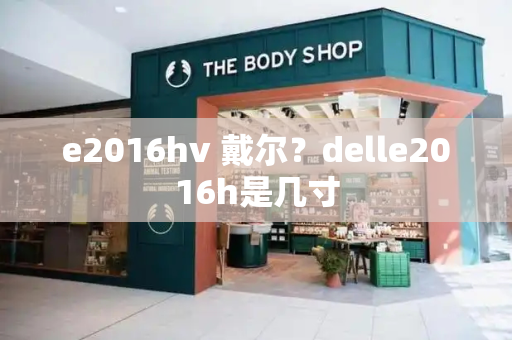 e2016hv 戴尔？delle2016h是几寸-第1张图片-星选测评