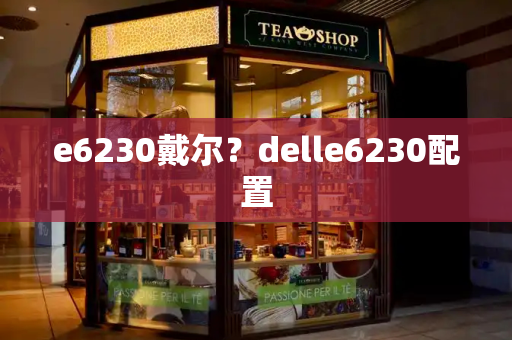 e6230戴尔？delle6230配置
