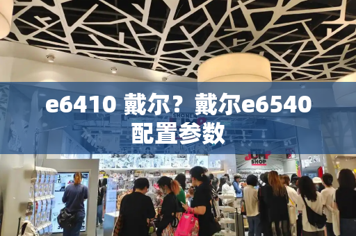 e6410 戴尔？戴尔e6540配置参数