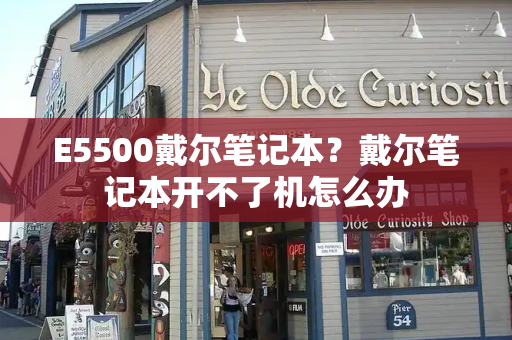 E5500戴尔笔记本？戴尔笔记本开不了机怎么办-第1张图片-星选测评