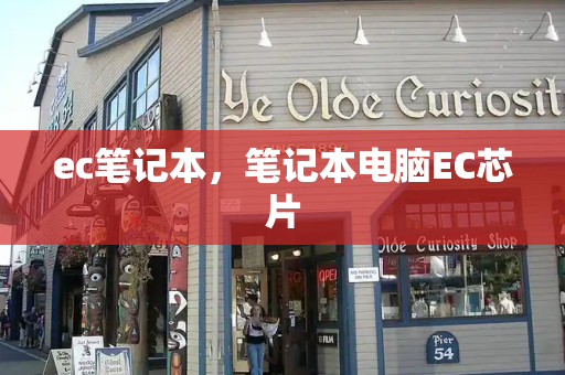 ec笔记本，笔记本电脑EC芯片