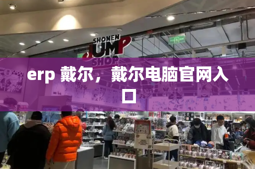 erp 戴尔，戴尔电脑官网入口-第1张图片-星选测评