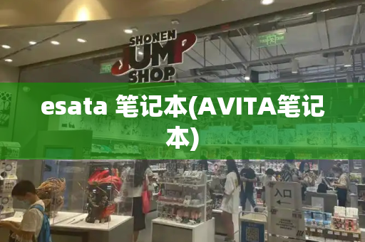 esata 笔记本(AVITA笔记本)
