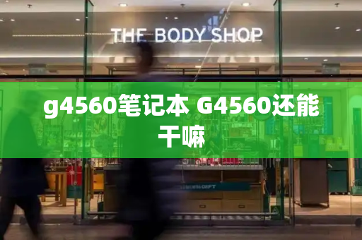 g4560笔记本 G4560还能干嘛