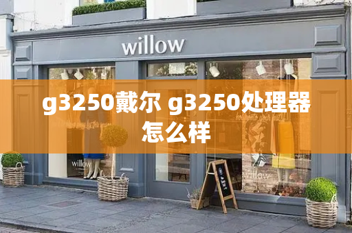 g3250戴尔 g3250处理器怎么样