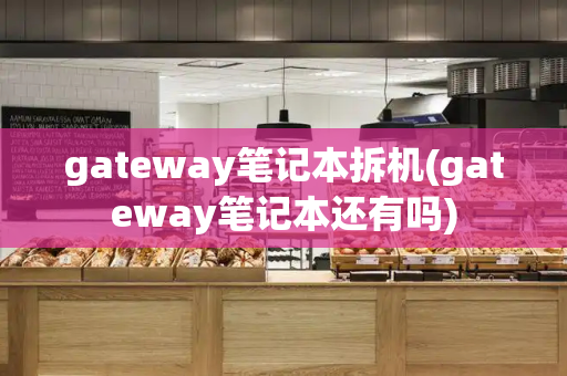 gateway笔记本拆机(gateway笔记本还有吗)
