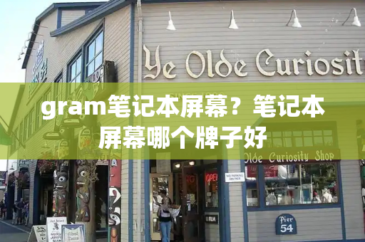 gram笔记本屏幕？笔记本屏幕哪个牌子好-第1张图片-星选测评