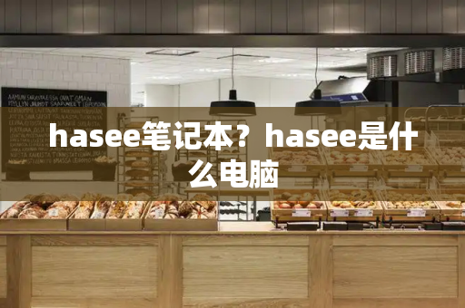 hasee笔记本？hasee是什么电脑-第1张图片-星选测评