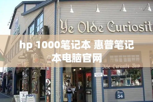 hp 1000笔记本 惠普笔记本电脑官网-第1张图片-星选测评