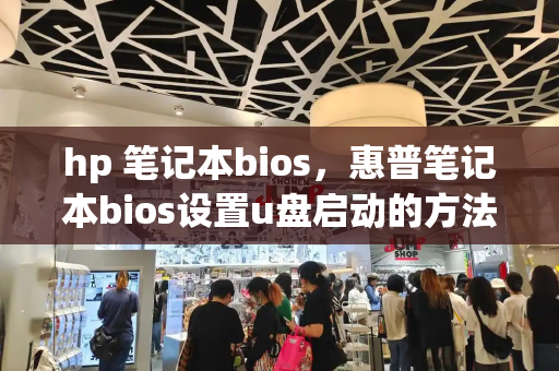 hp 笔记本bios，惠普笔记本bios设置u盘启动的方法