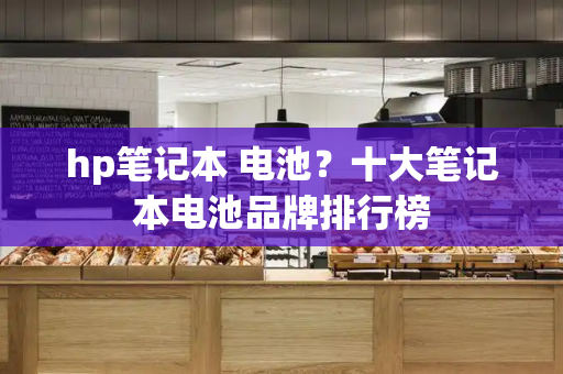 hp笔记本 电池？十大笔记本电池品牌排行榜-第1张图片-星选测评