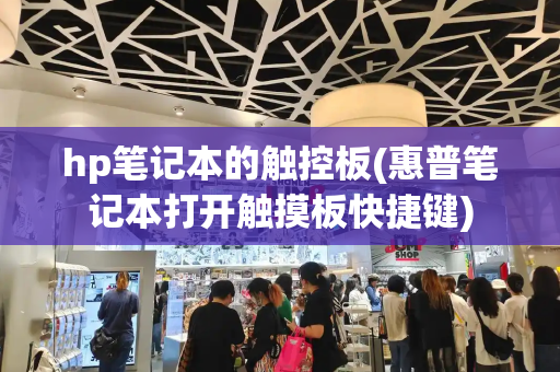 hp笔记本的触控板(惠普笔记本打开触摸板快捷键)-第1张图片-星选测评