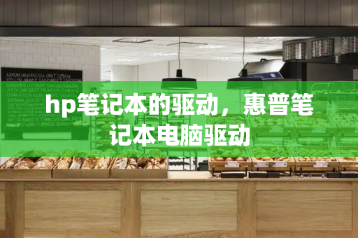 hp笔记本的驱动，惠普笔记本电脑驱动-第1张图片-星选测评