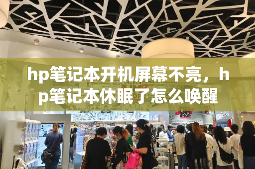 hp笔记本开机屏幕不亮，hp笔记本休眠了怎么唤醒-第1张图片-星选测评
