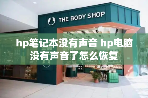 hp笔记本没有声音 hp电脑没有声音了怎么恢复