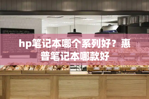 hp笔记本哪个系列好？惠普笔记本哪款好-第1张图片-星选测评