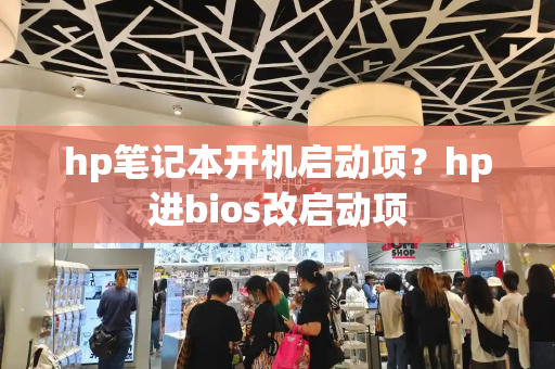 hp笔记本开机启动项？hp进bios改启动项-第1张图片-星选测评