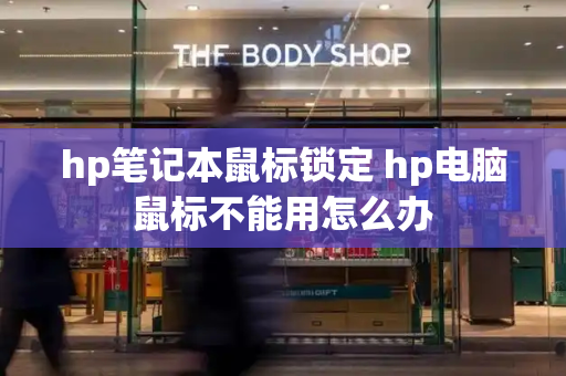 hp笔记本鼠标锁定 hp电脑鼠标不能用怎么办
