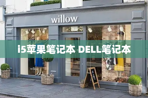 i5苹果笔记本 DELL笔记本-第1张图片-星选测评