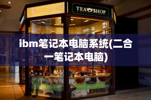 ibm笔记本电脑系统(二合一笔记本电脑)