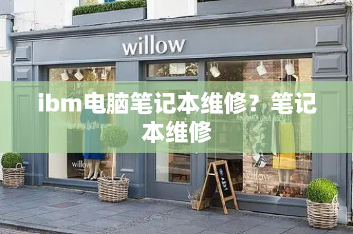 ibm电脑笔记本维修？笔记本维修-第1张图片-星选测评