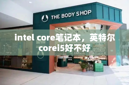intel core笔记本，英特尔corei5好不好