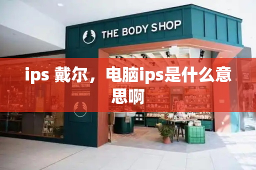 ips 戴尔，电脑ips是什么意思啊