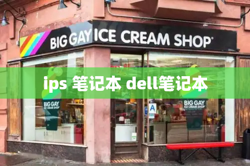 ips 笔记本 dell笔记本-第1张图片-星选测评