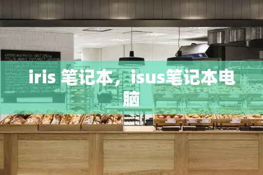 iris 笔记本，isus笔记本电脑-第1张图片-星选测评