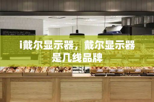 i戴尔显示器，戴尔显示器是几线品牌