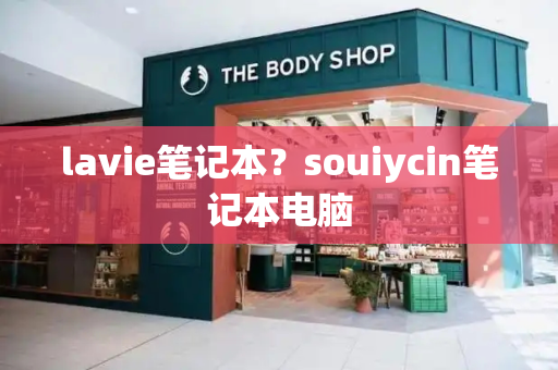lavie笔记本？souiycin笔记本电脑