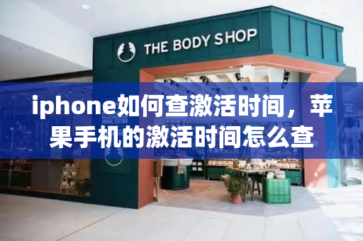 iphone如何查激活时间，苹果手机的激活时间怎么查-第1张图片-星选测评