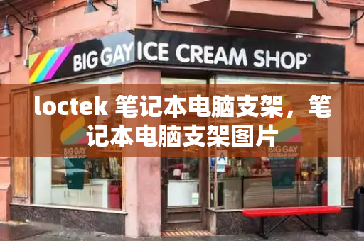 loctek 笔记本电脑支架，笔记本电脑支架图片