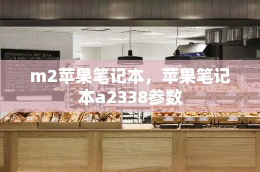 m2苹果笔记本，苹果笔记本a2338参数-第1张图片-星选测评