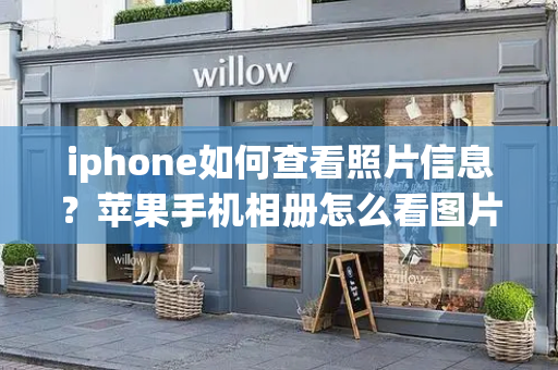 iphone如何查看照片信息？苹果手机相册怎么看图片详细信息-第1张图片-星选测评