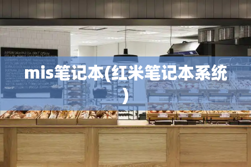 mis笔记本(红米笔记本系统)-第1张图片-星选测评