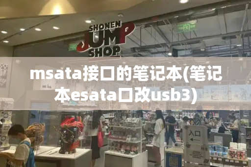 msata接口的笔记本(笔记本esata口改usb3)-第1张图片-星选测评