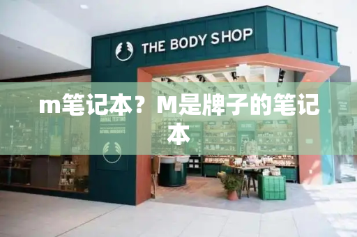 m笔记本？M是牌子的笔记本-第1张图片-星选测评