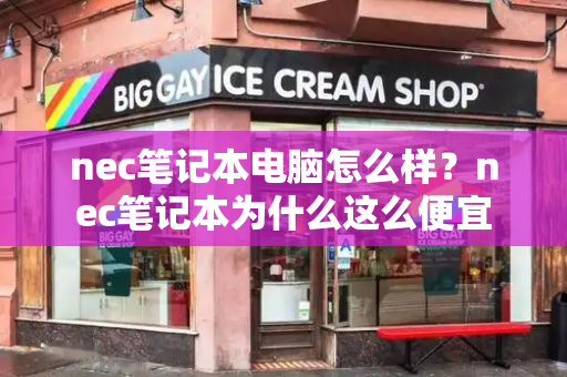 nec笔记本电脑怎么样？nec笔记本为什么这么便宜-第1张图片-星选测评