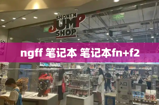 ngff 笔记本 笔记本fn+f2-第1张图片-星选测评