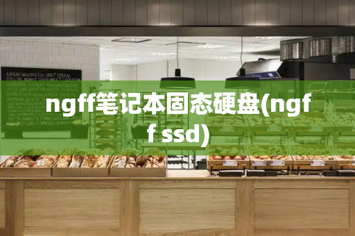 ngff笔记本固态硬盘(ngff ssd)