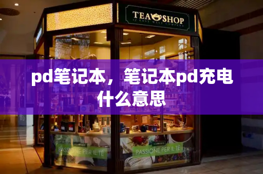 pd笔记本，笔记本pd充电什么意思-第1张图片-星选测评