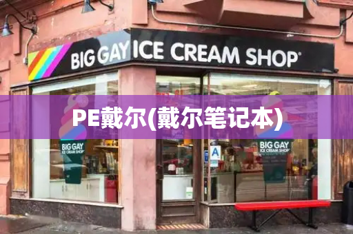 PE戴尔(戴尔笔记本)-第1张图片-星选测评